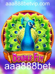 Explorando o Mundo de DoubleFly: Guia Completo e Regras do Jogo